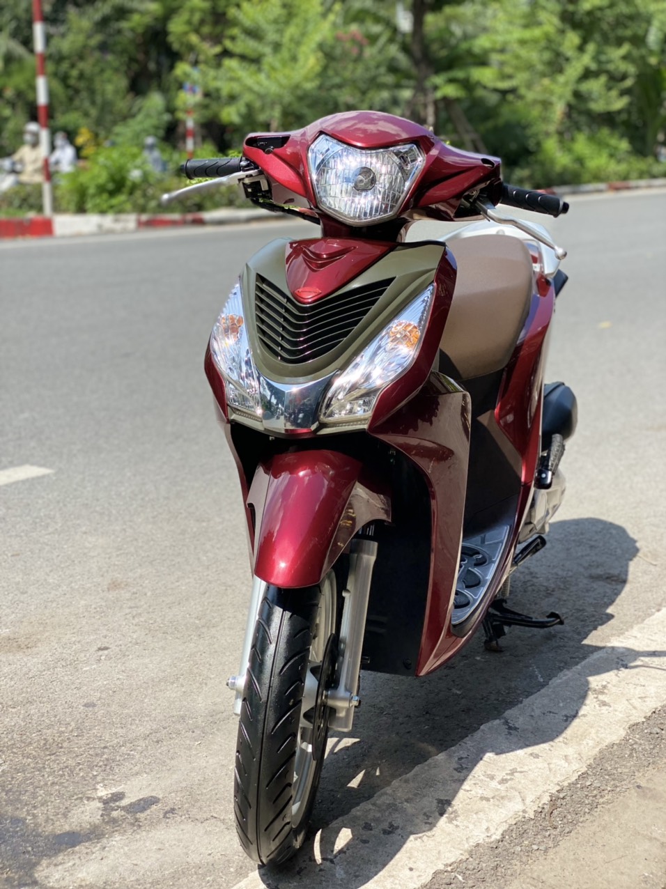 vision-2019