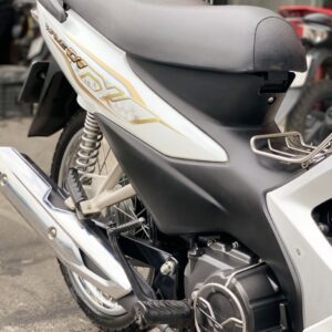 wave-110-2021